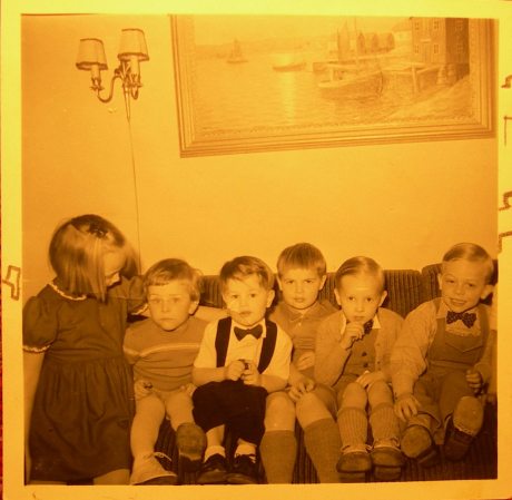 Hultgrens besk låg 111101 DSCN5470