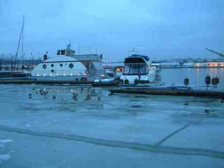 Änder i väntan på att sjunka genom isen. Lilla Bommens hamn söndag 16 december 2012 kl 15.34.