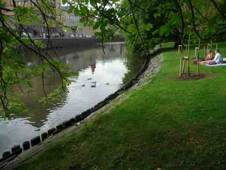 Andmamman har lyckats klara alla sina sex ungar undan glupska trutnäbbar. Trädgårdsföreningen lördag 15 juni 2013 kl 17:30.