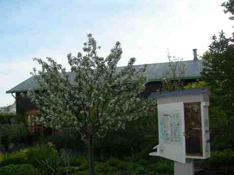 Året runt i bikupan. Lördag 25 maj 2013 kl 18.53.