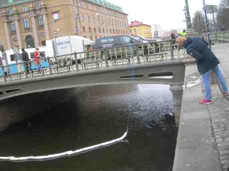 Dykare går under Drottningtorgsbron. Onsdag 20 mars 2013 kl 15.01.