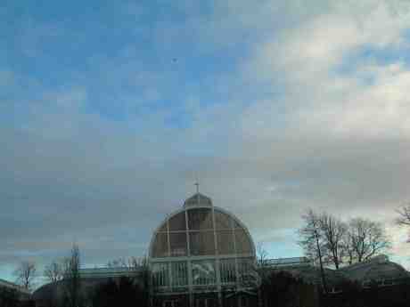 Okänt flyg över Palmhuset. Trädgårdsföreningen lördag 2 februari 2013 kl 15.51.