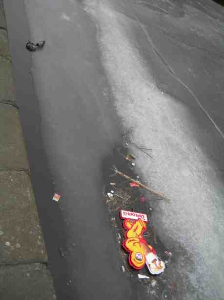 Kråka tycks försöka bärga död gräsansdhanne upp på isen genom ihärdigt dragande. Vallgraven vid Slussbron tisdag 19 februari 2013 kl 16.36.