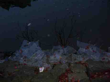 Ilandflutna fönsterrutor? Vallgraven vid Trädgårdsföreningen måndag 7 januari 2013 kl 15.31.