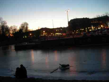 Svärmande par och konstgjord säl vid Vallgraven mellan Storan och Kungstorget. Fredag 1 mars 2013 kl 18.10.