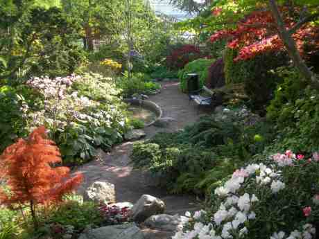 Dolda dammen i Trädgårdsföreningen. Tisdag 28 maj 2013 kl 17.33.