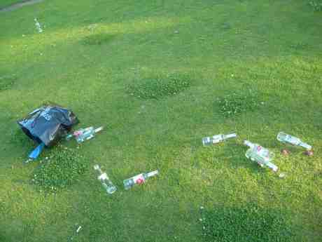 NationalDagen efter. Del II. Trädgårdsföreningen fredag 7 juni 2013 kl 19.47. 