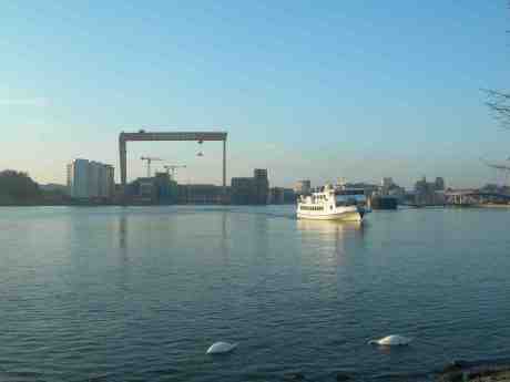 Simultanätande svanpar vid Klippans färjeläge, M/S Skarven på ingång och Eriksbergs bockkran utgången.  Måndag 15 april 2013 kl 19.26.