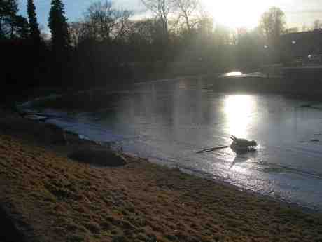 Stora Vallgravsodjuret tuggar sig fram genom isen. Söndag 3 mars 2013 kl 16.37.