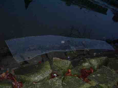 Strandad glasruta? Vallgraven vid Trädgårdsföreningen måndag 7 januari 2013 kl 15.33.