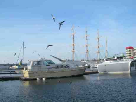 Svanar och andra flygfantomer matas i Lilla Bomens hamn. Påskafton lördag 30 mars 2013 kl 15.08.