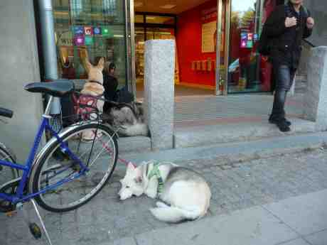Ro och oro i förväntans tider. Willys Hvitfeldtsplatsen tisdag 1 oktober 2013 kl 17:44.