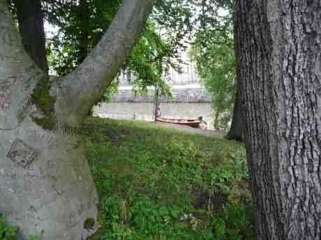 Romantisk eka har lagt till i Vallgraven nedanför ristade Kärleksträdet i Trädgårdsföreningen. Lördag 27 juli 2013 kl 19:52.