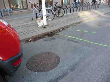 Lagd hund ligger. Östra Hamngatan fredag 11 oktober 2013 kl 14:42.