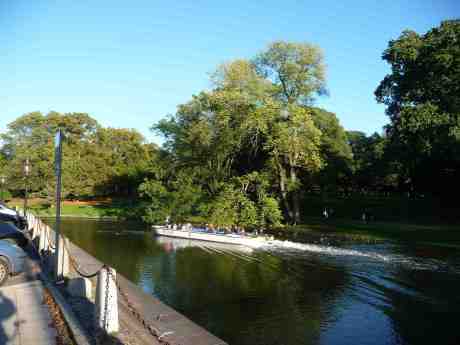 Andjagare. Paddan 11 i Vallgraven mellan Kungsparken och Sahlgrensgatan fredag 20 september 2013 kl 17:41.