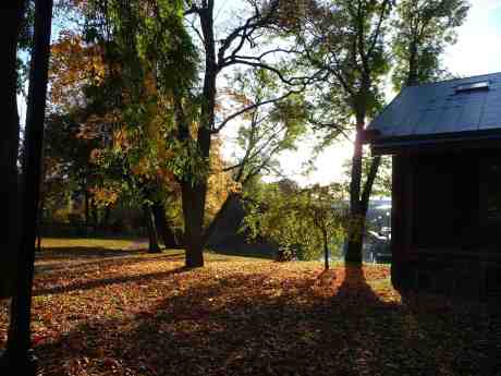 Vila och svärmeri bland höstlöven i Trädgårdsföreningen. Utsikt mot Stora Nygatan tisdag 15 oktober 2013 kl 16:13.