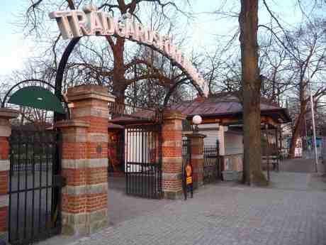 Trädgårdskiosken i Trädgårdsföreningen hade tydligen inte sjappat för gott utan tycks vara på gång igen efter många månaders vinteride. Gamla Allén 2 fredag 28 mars 2014 18:11.