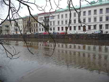 Den flortunna isen i Vallgraven håller i alla fall för måsar. Trädgårdsföreningen söndag 9 februari 2014 kl 14:20.