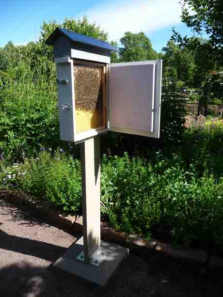 Platta flitigabikupan i Trädgårdsföreningen åter på plats. Söndag 22 juni 2014 kl 16:29.