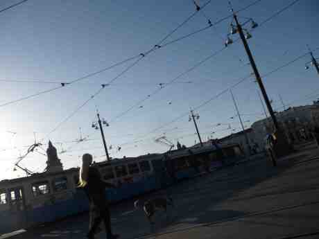 Draghund på spårvagnsjakt i Brunnsparken. Södra Hamngatan torsdag 3 april 2014 kl 18:09.