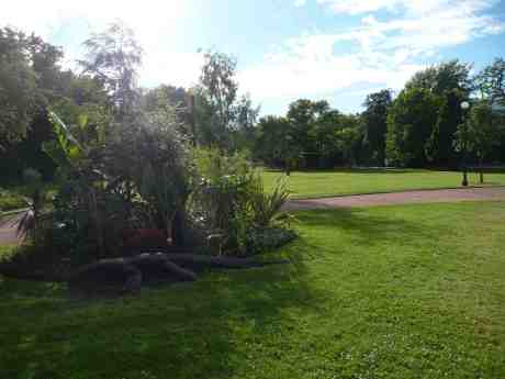 Krokodilen smyger i buskarna mätt och belåten med majstången i bakgrunden. Var är alla barnen? Trädgårdsföreningen midsommardagen lördag 21 juni 2014 kl 18:49.