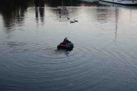 Fina fenfiskaren har konkurrens om fisken i Vallgraven av kanadagäss. Lördag 4 oktober 2014 kl 18:28.