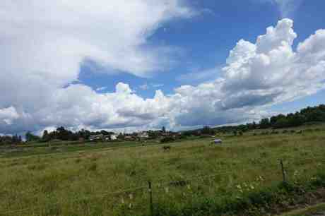 Hästidyll vid Kongahällavägen sedd från Svarta Expressen. Onsdag 2 juli 2014 kl 14:43.