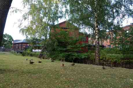 Tegelidyll vid Kvillebäckens mörka vatten. Söndag 20 juli 2014 kl 20:56.