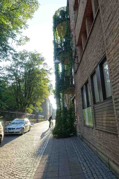 Valdag: För eller emot trängselskatt? Utanför vallokalen i Traktören på Köpmansgatan söndag 14 september 2014 kl 17:51.