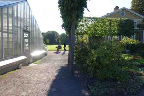 Vinterförberedelse i Trädgårdsföreningen. Måndag 22 september 2014 kl 16:32. 